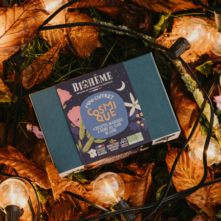 Mini coffret Cosmique bio 4 x 10 infusettes