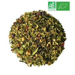 Thé Vert et Maté Citron Gingembre Bio